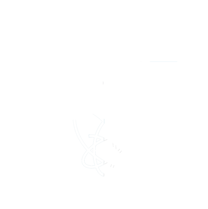 Logo Schmidpower Logo von Schmidpower